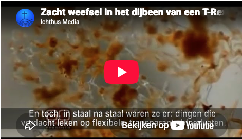 De vrolijke ruil