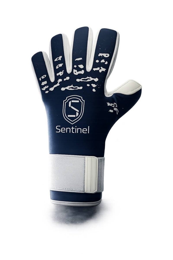 Sentinel Aegis Vortex