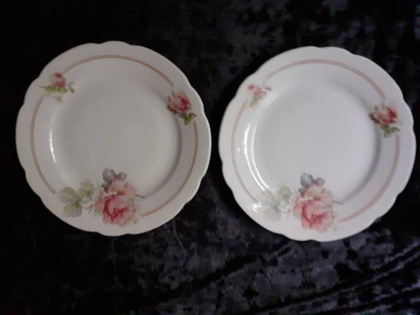 2 Dessertteller mit handgemalten Rosen.