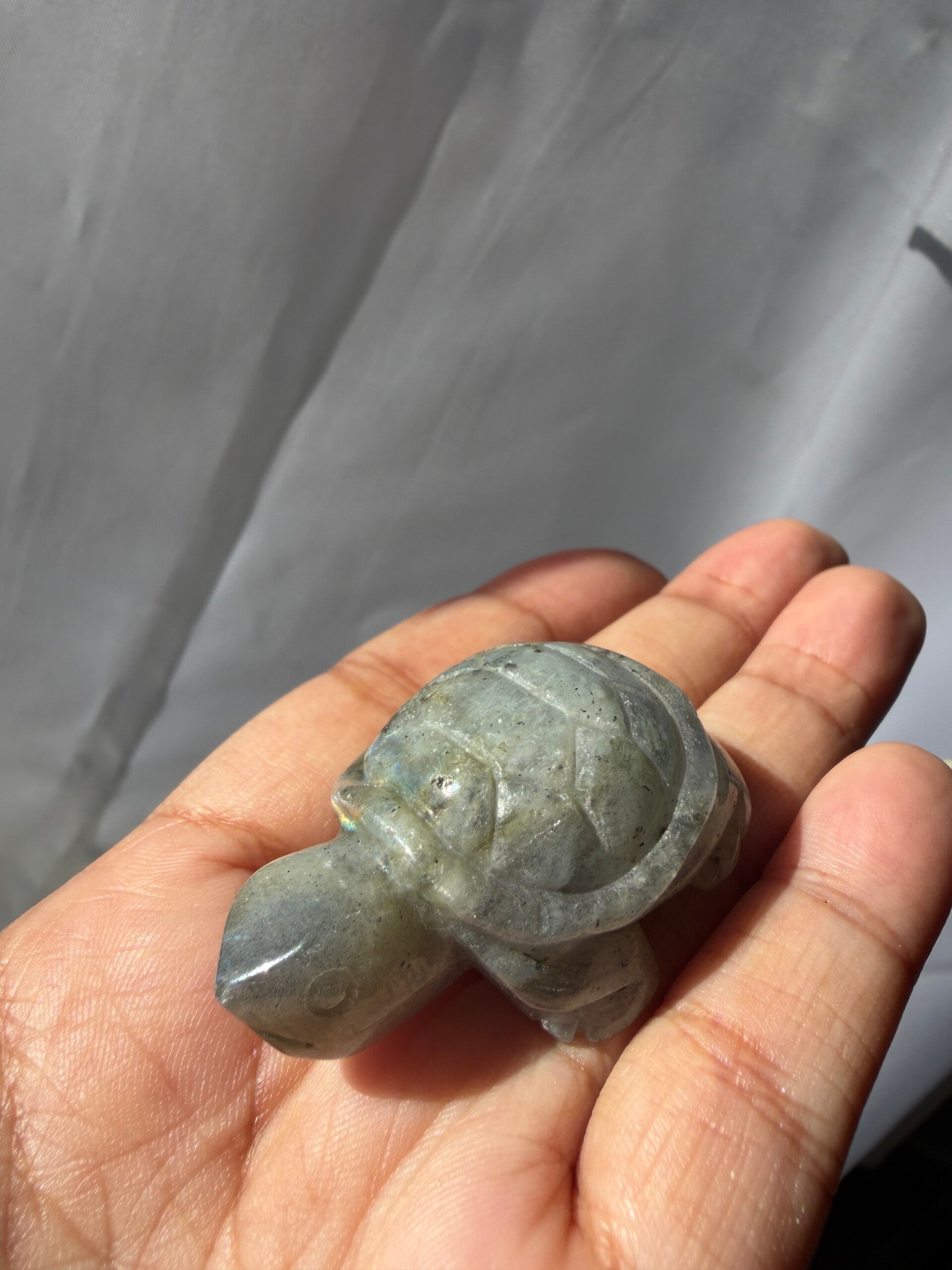 Labradorite Turtle 05