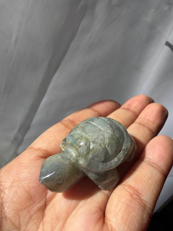 Labradorite Turtle 05