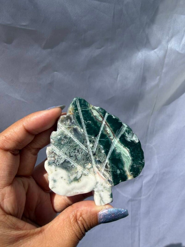 Mossagate leaf SO6