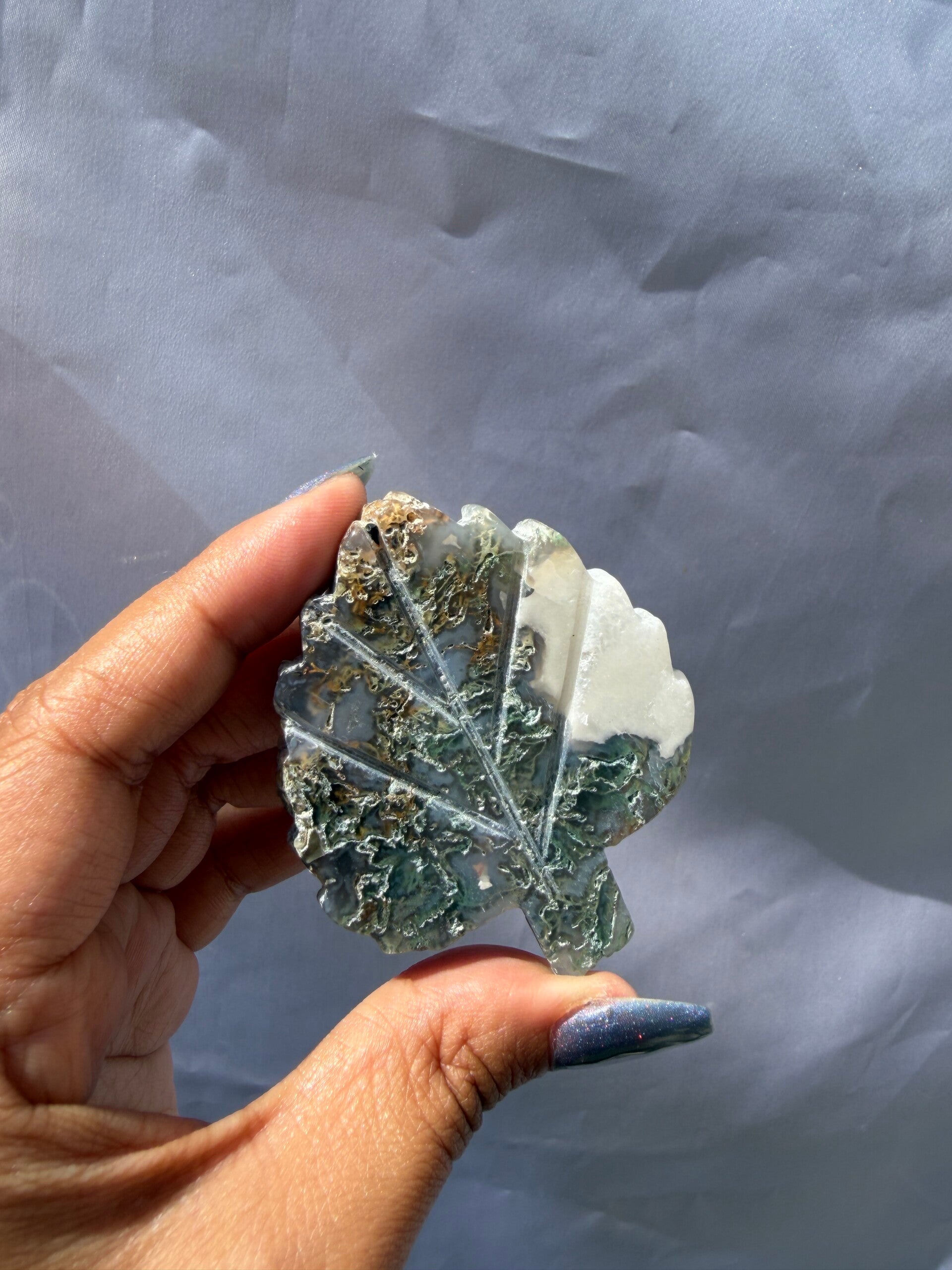 Mossagate leaf SO7