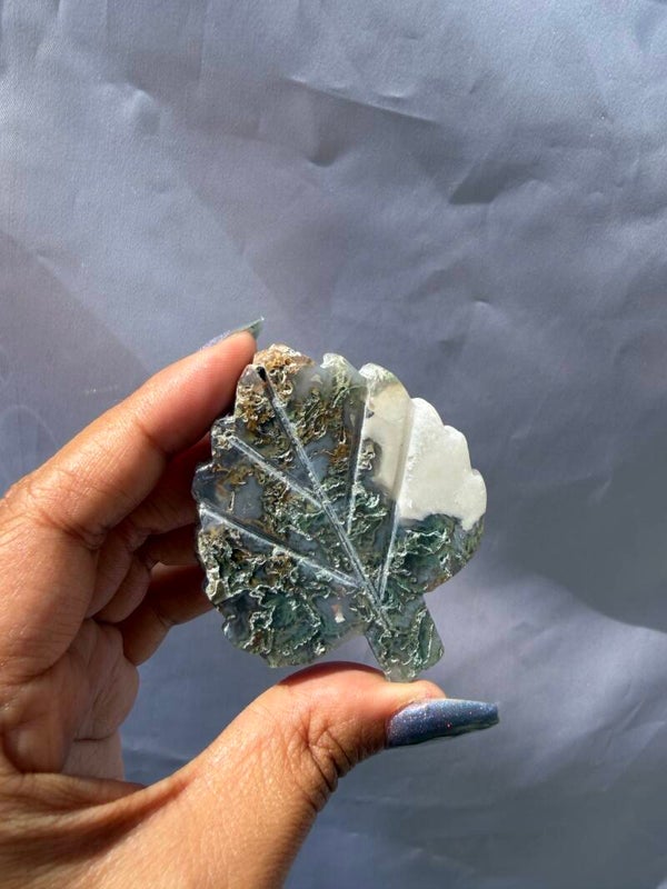 Mossagate leaf SO7