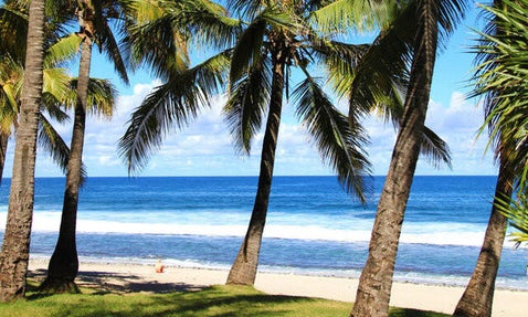 magnifique plage de Grande Anse