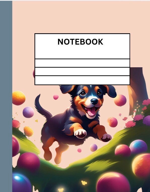 Notebook