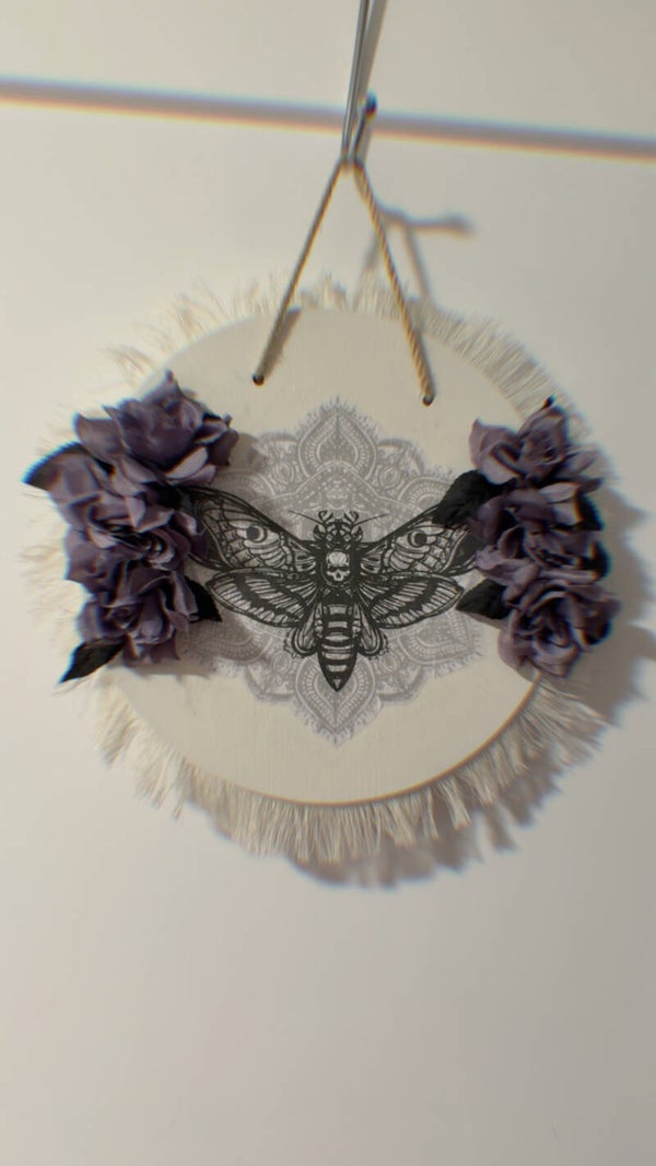 WHAT THE MOTHS KNOW