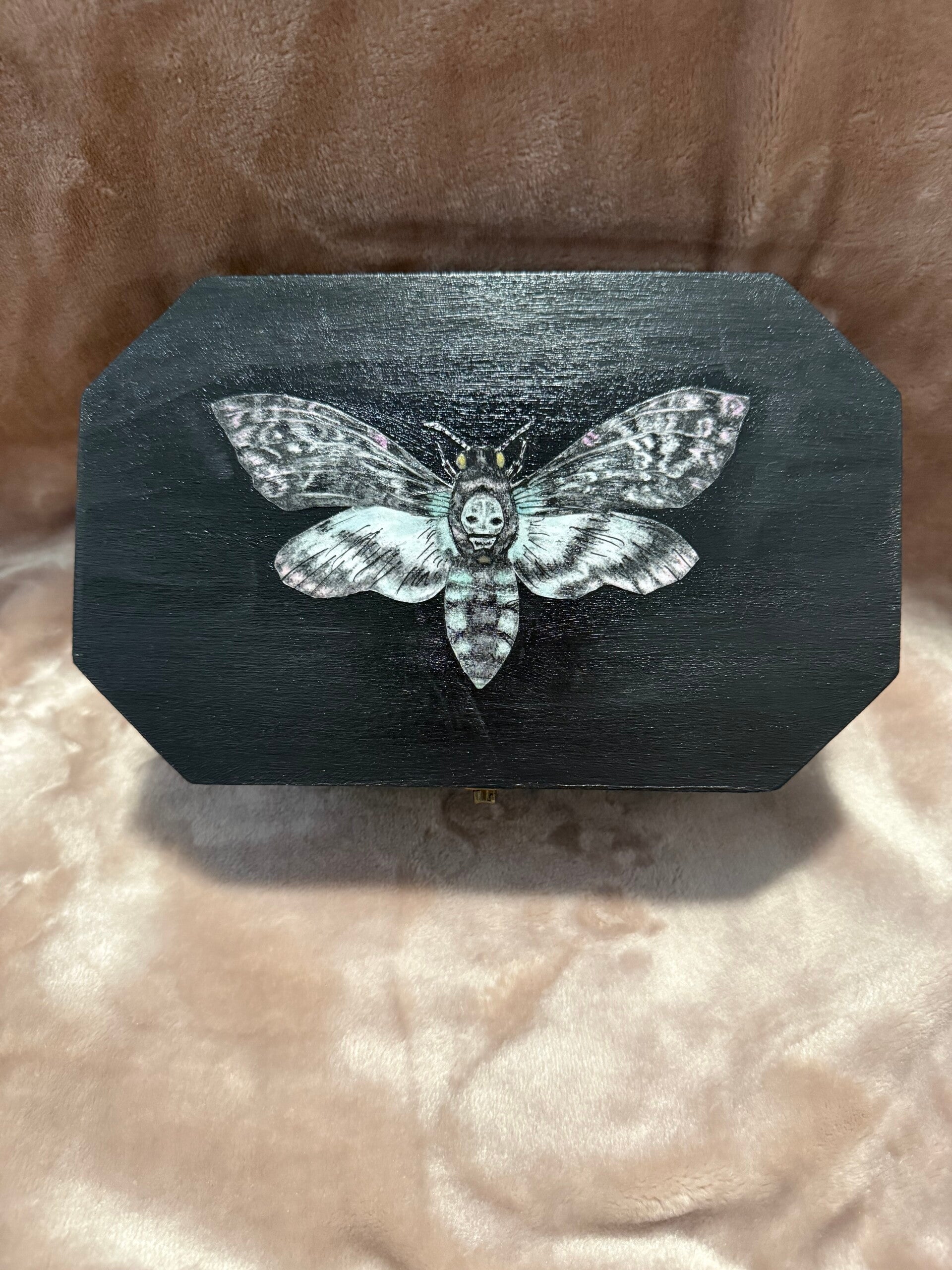 THE CONFESSIONAL - Moth
