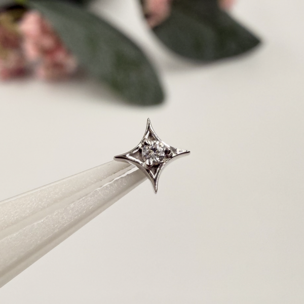 BVLA - 14KT Wit goud - Sparkle - CZ