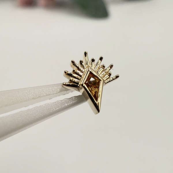 BVLA - 14KT Geel Goud - Knite Borderline - Citrine