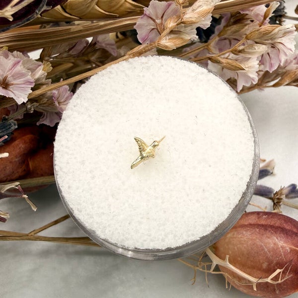 3D Humming Bird - Mushroom YG