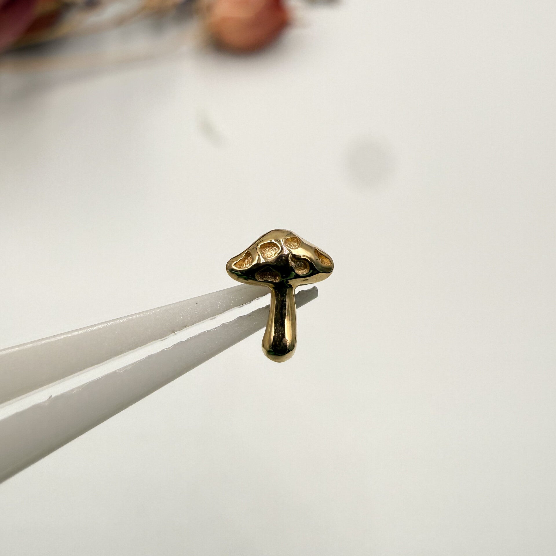 Mushroom - Mushroom YG
