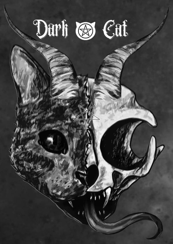 Poster crâne de chat