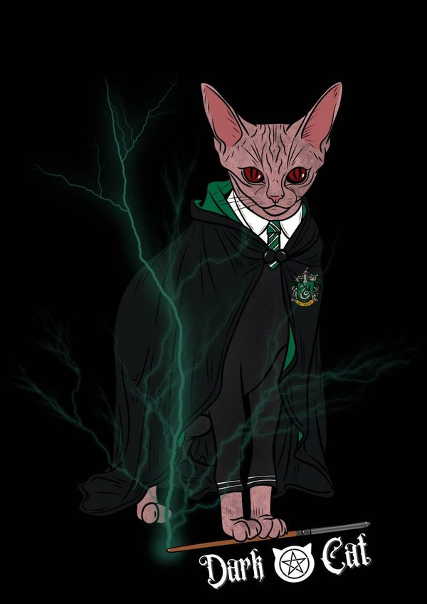 Poster chat Harry potter