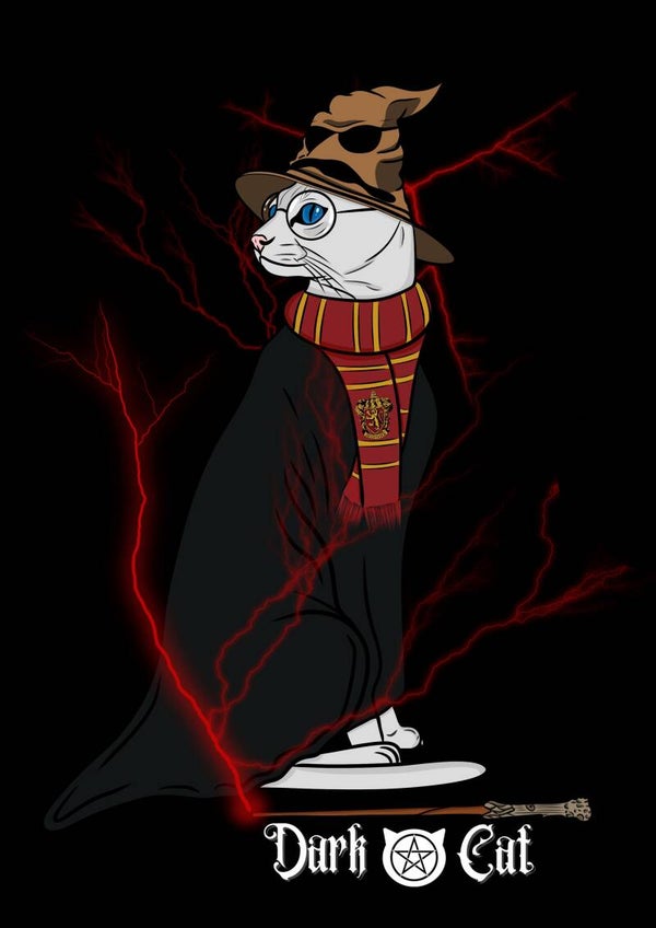 Poster chat Harry potter