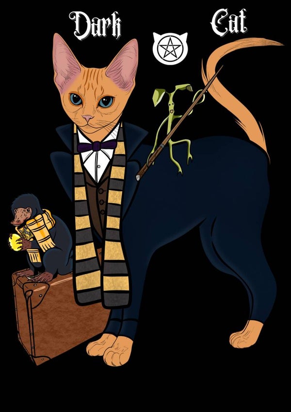 Poster chat Harry potter