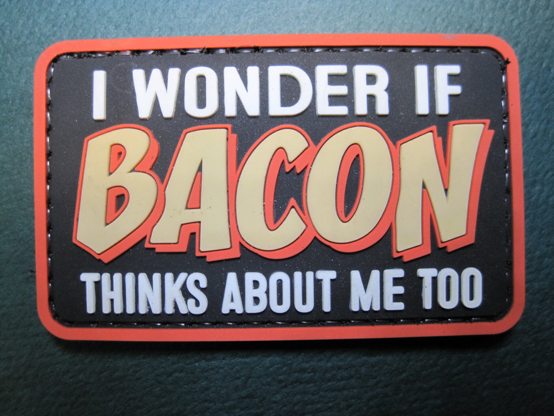 I WONDER IF BACON THINKS ABOUT ME TOO? PATCH PVC POOK BACK