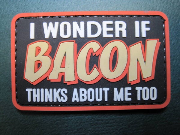 I WONDER IF BACON THINKS ABOUT ME TOO? PATCH PVC POOK BACK