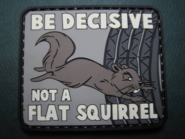 BE DECISIVE, NOT A FLAT SQUIRREL! MORALE PATCH PVC HOOK BACK