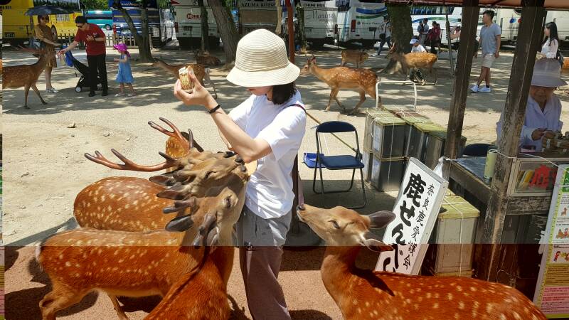 Japan | www.trendtours.eu