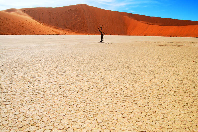 Namibia  Zeitungsbeilage  | www.trendtours-angebote.de