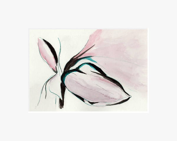 Amaryllis in de knop.