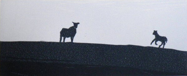Over de dijk