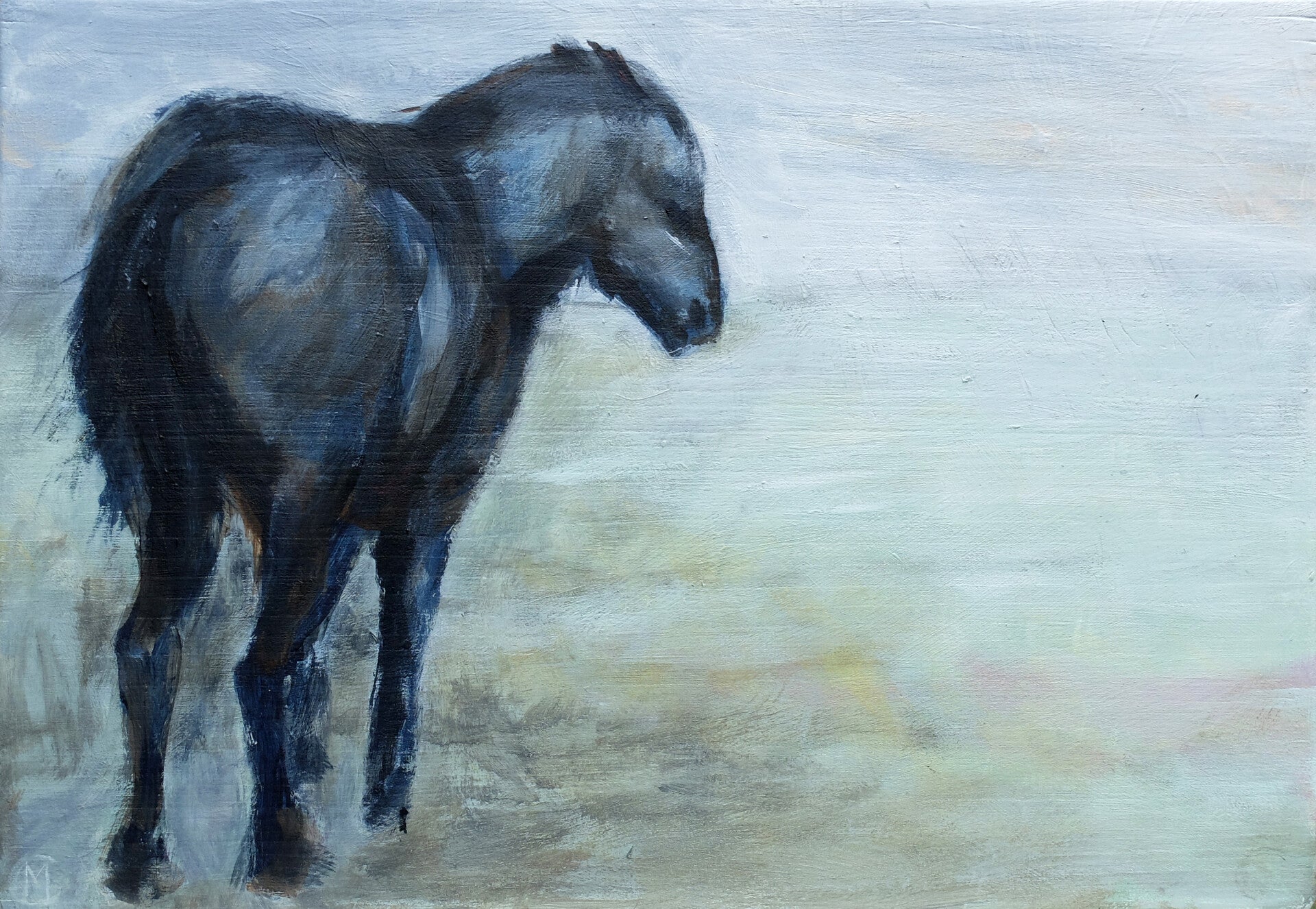 Paard in de wind