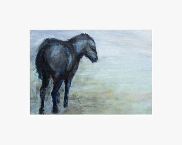 Paard in de wind.