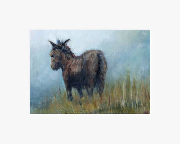 Ezel in het veld.