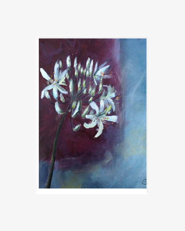 Nerine.