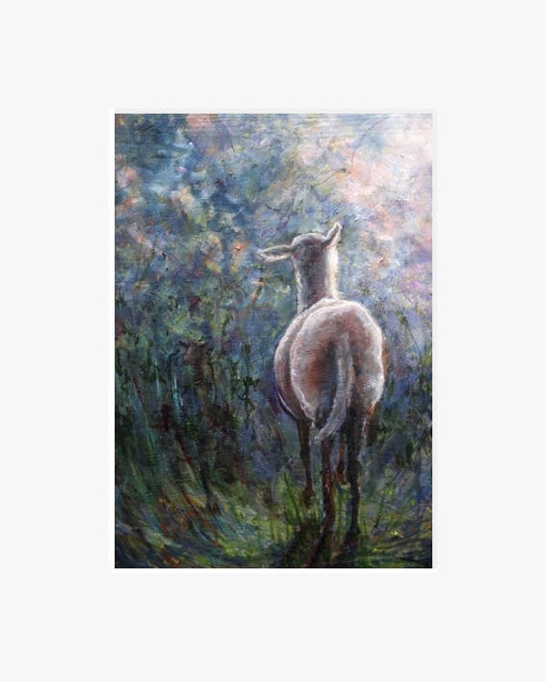 Schaap in de zomeravond.