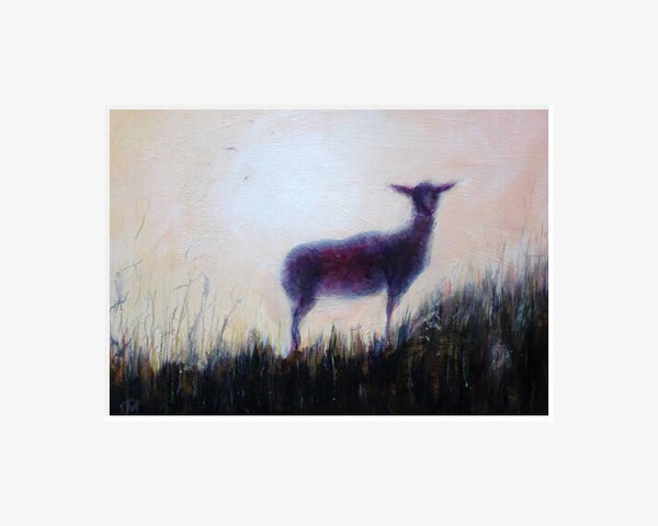 Schaap op het duin.