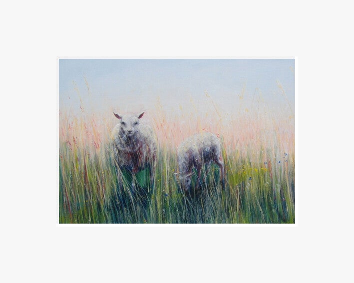 Schapen in het hoge gras.
