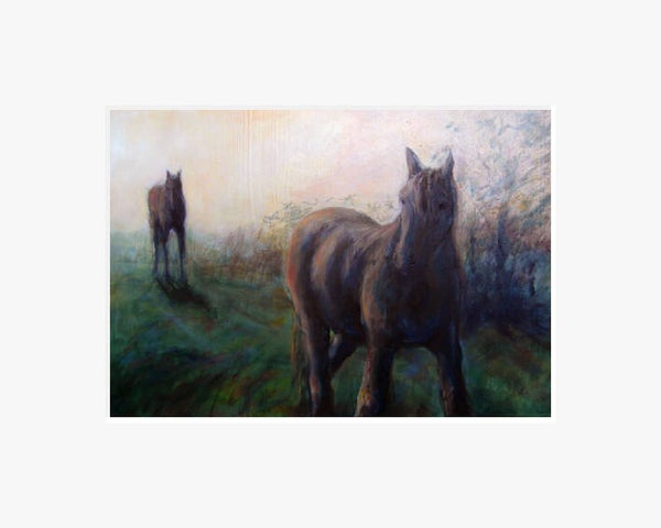 Twee paarden in de ochtend.