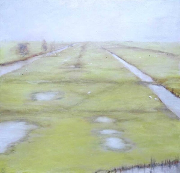 Regen in de polder