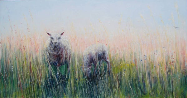 Schapen in het hoge gras.