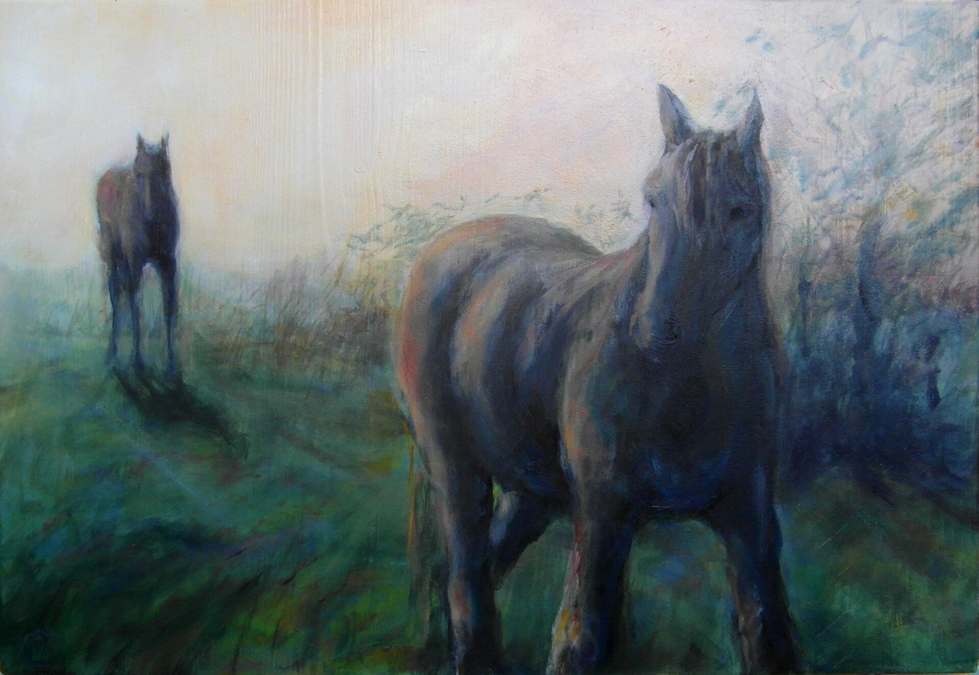Twee paarden in de ochtend