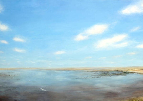Zomer op het Wad.