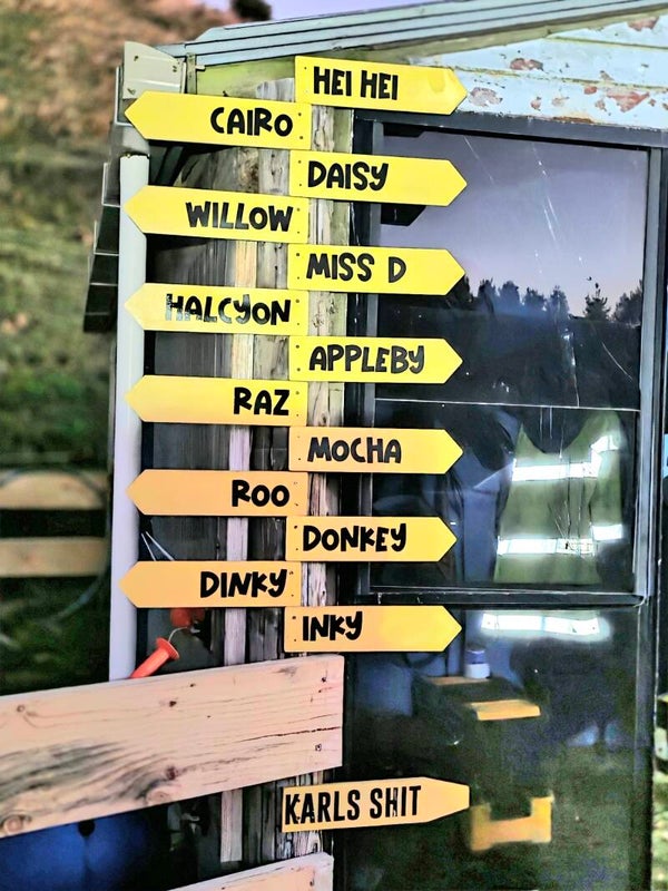WheresMyAss signs