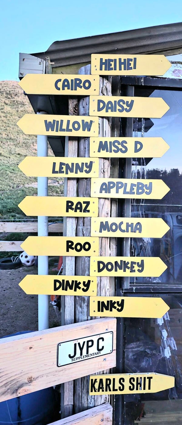 WheresMyAss signs