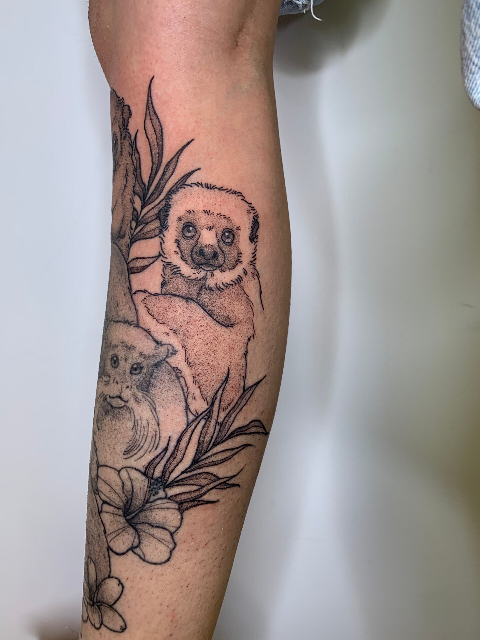 img_0044-standard-4l7c0n.jpg
