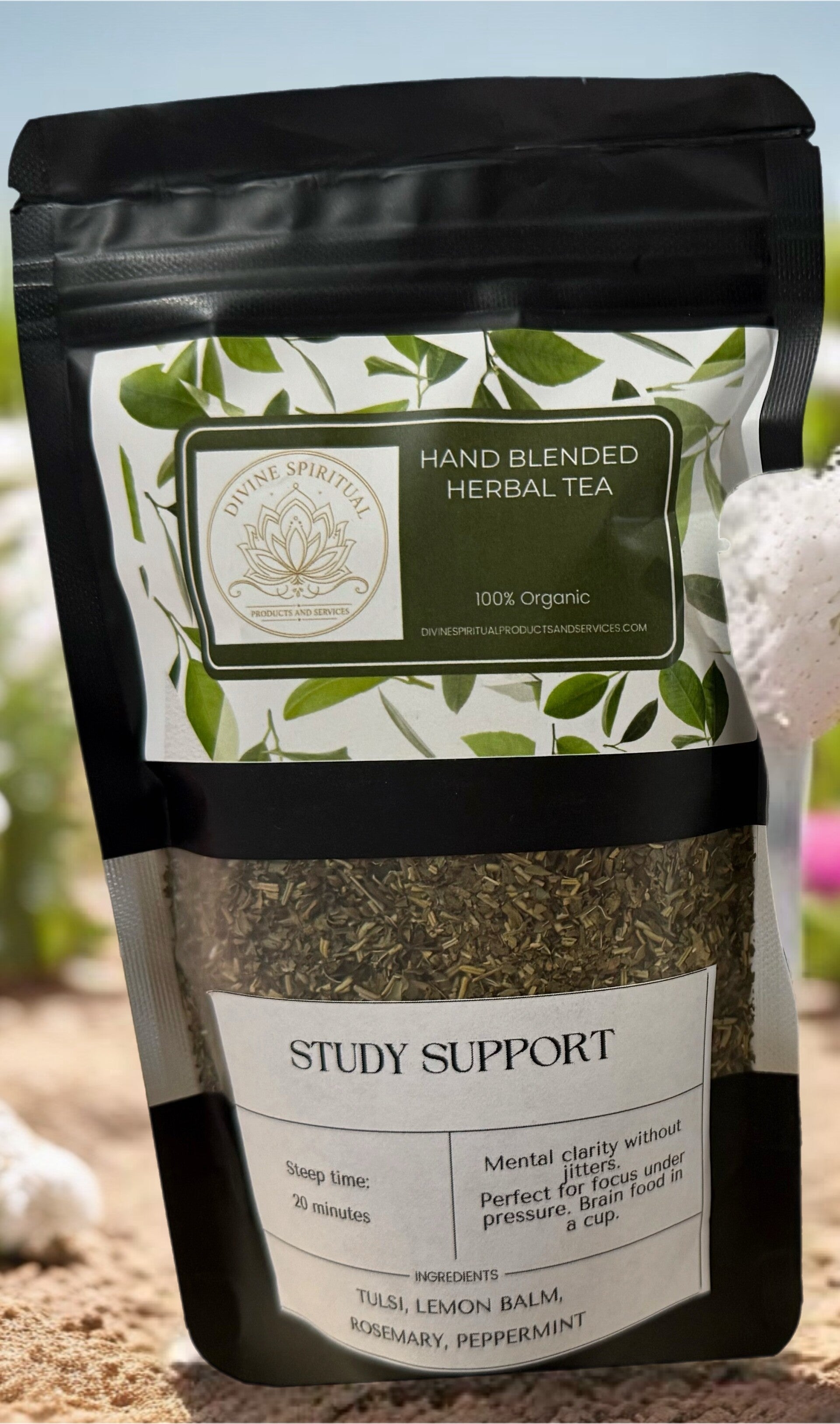 Study Support
