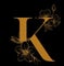 Logo Thai Wellness Oegstgeest