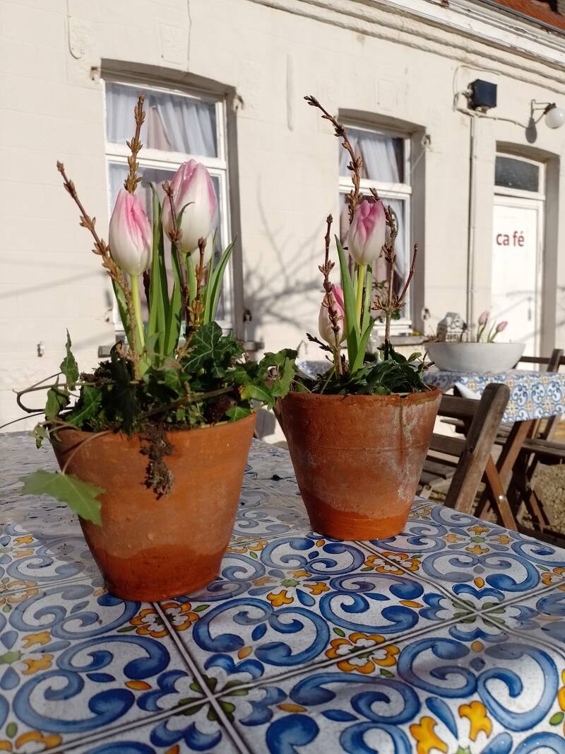 terrasbloemstuk.jpg
