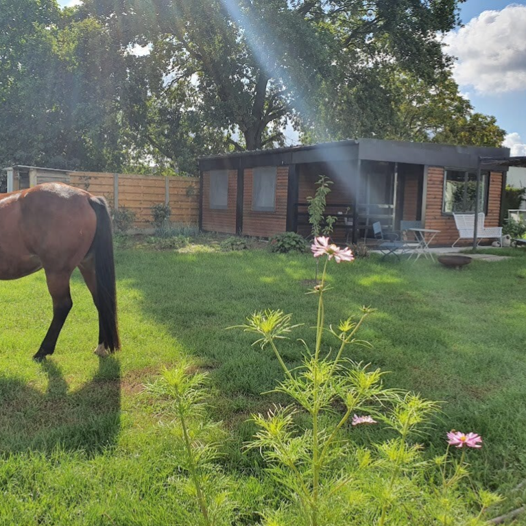 tiny house tussen paarden
