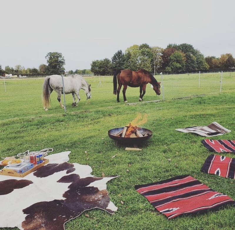 retraite met paarden