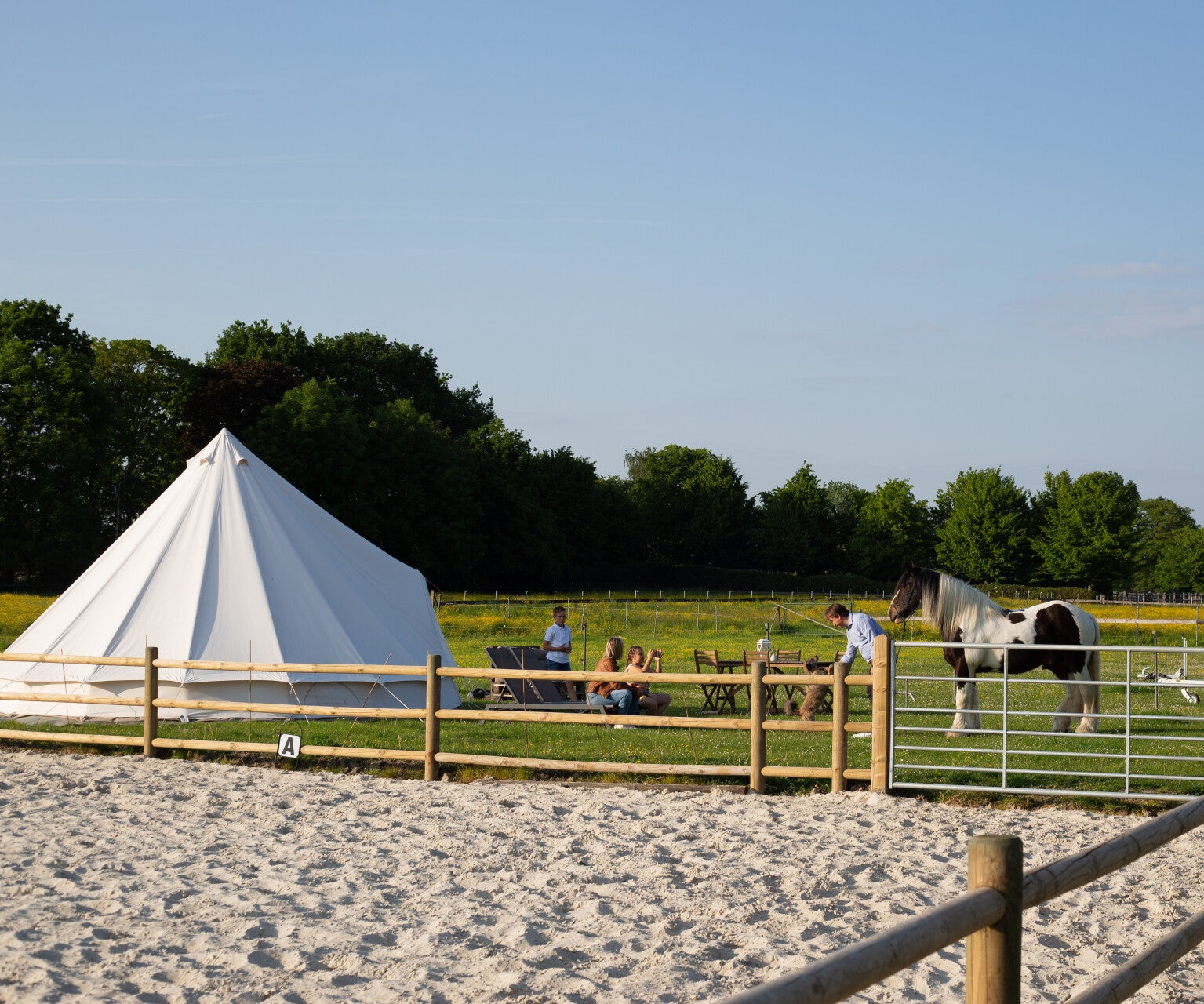 glamping met paarden