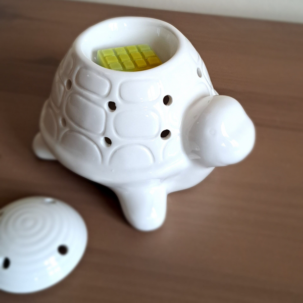 Brûle-parfum tortue Franklin