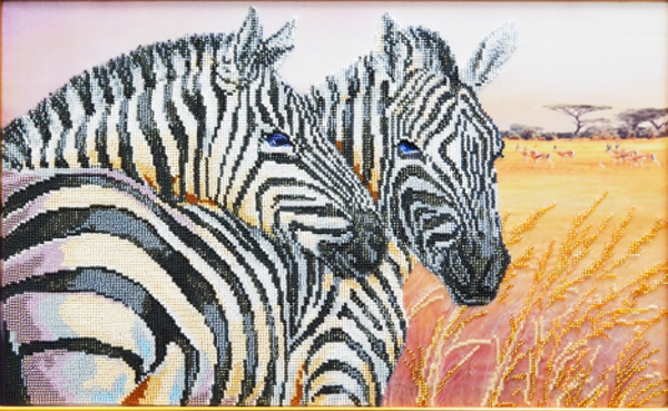* Zebra's